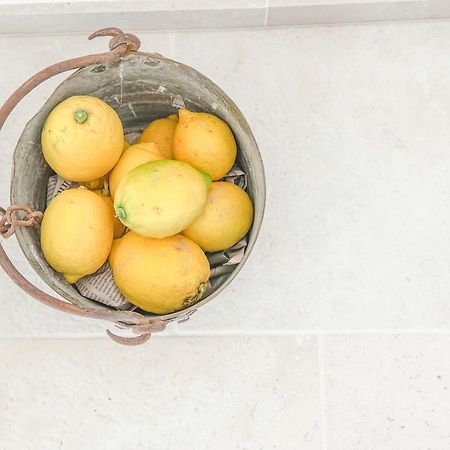 Trullo Essenza-Trulli Anti Charme & Relax Bed and Breakfast Αλμπερομπέλο Εξωτερικό φωτογραφία